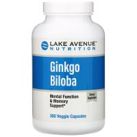 Lake Avenue Ginkgo Biloba 120mg 360vcaps