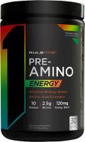 Rule One Proteins Pre-Amino 252g
