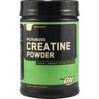 ON Creatine Powder 1200g
