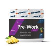 Cybermass Pre-Work (Ананас)