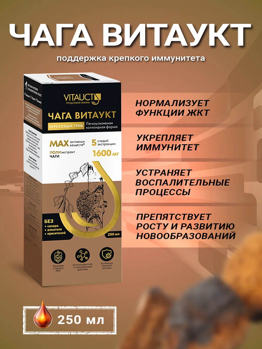 Vitauct Чага полиэкстракт 250мл