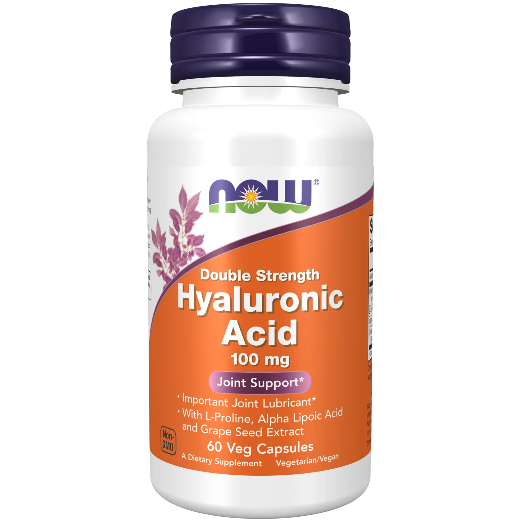 NOW Hyaluronic Acid 100mg 60vcaps