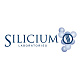 Silicium Laboratories Silicium Laboratories
